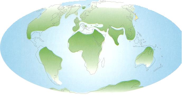 Paleogeografia del periodo