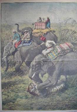 20 Maggio 1928 - Uomini, elefanti e tigre