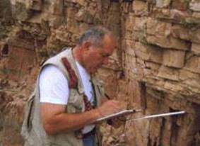 Stratigrafia dei fossili