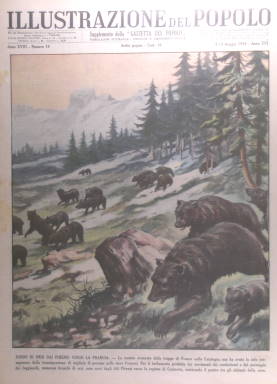 Migrazione di orsi sui Pirenei per la guerra