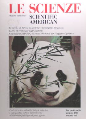Le Scienze - Panda in prima pagina